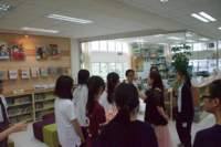 dsc02091_small.jpg