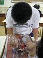 IMG_0729