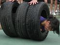 IMG_0357