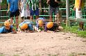 IMG_9038