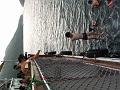 DSCF2429