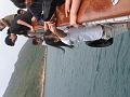 IMG_0456