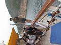 IMG_0557