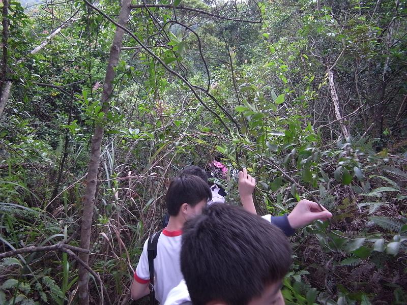 R0019849.JPG