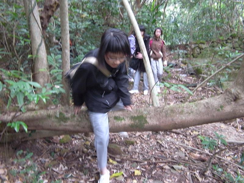 R0019871.JPG
