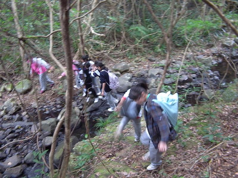 R0019875.JPG